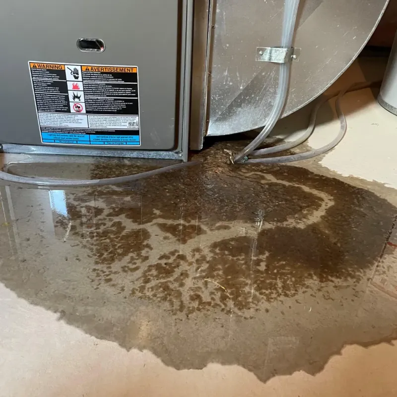 Appliance Leak Cleanup in Stevenson Ranch, CA